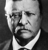El Hombre en la arena - Theodore Roosevelt